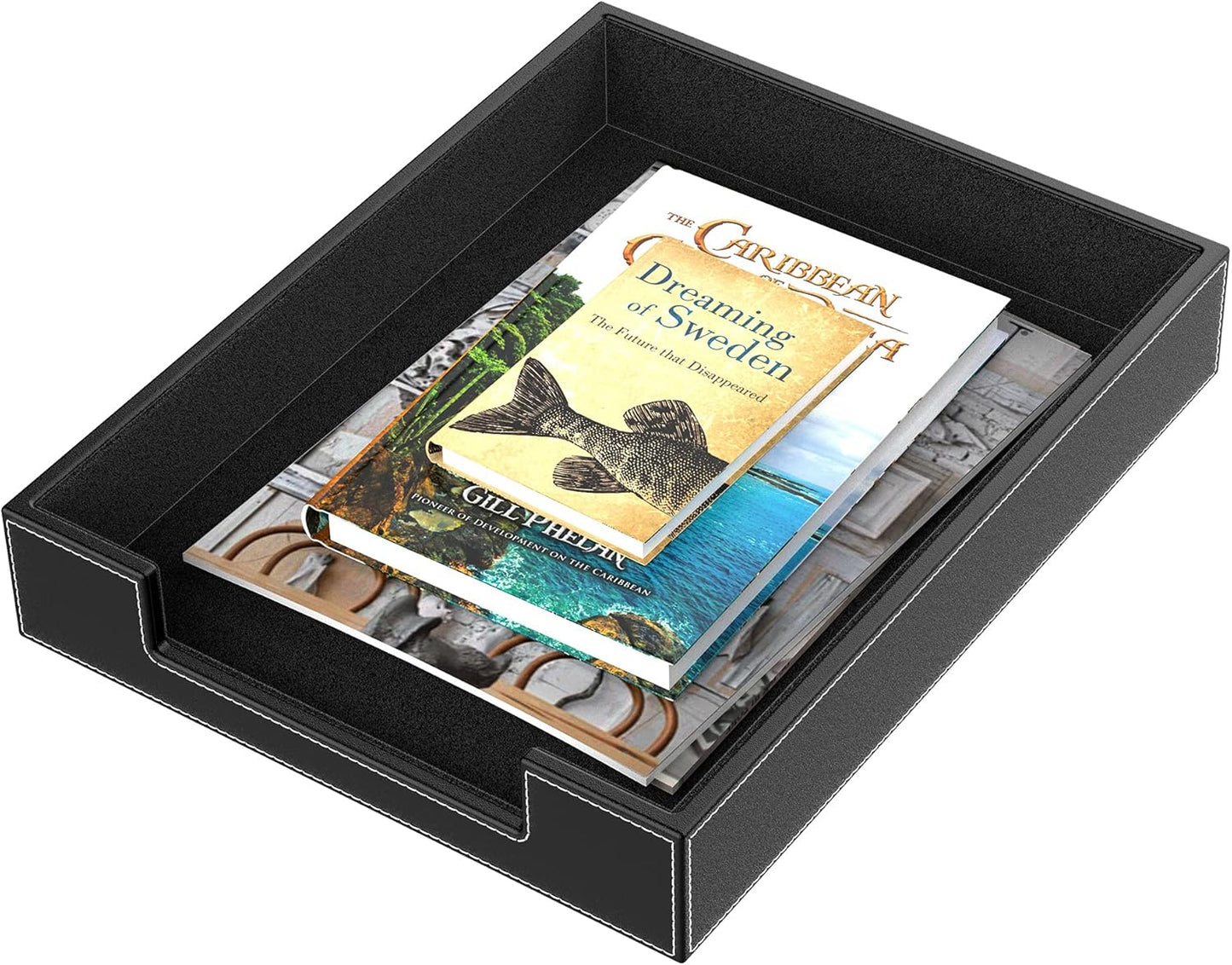 Leather Letter Tray, THIPOTEN Elegant Desk Organizer for Office Supplies, Mail, Paper, File, Magazine, Perfect Office Organization for Desktop(Black)