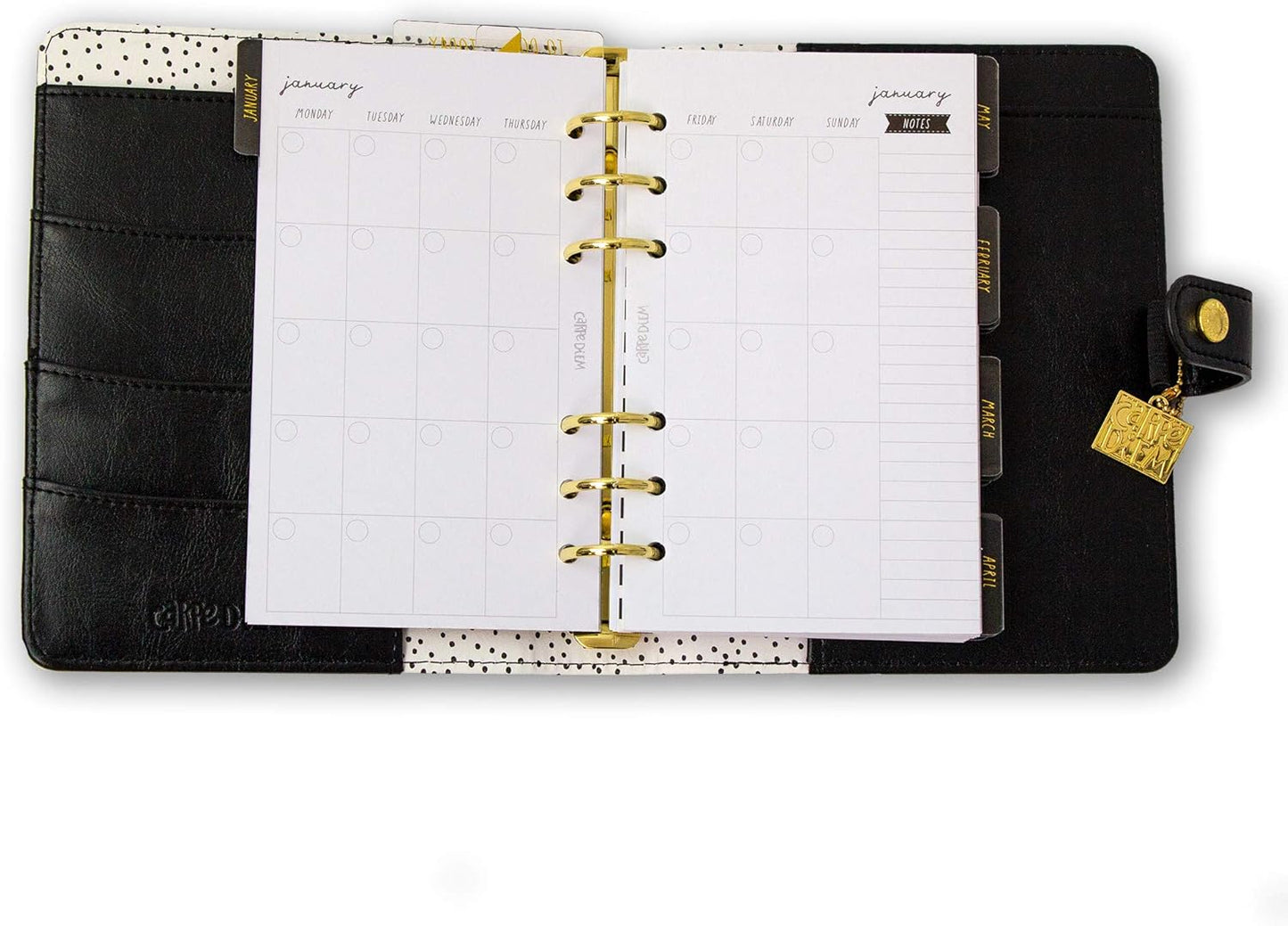 Pukka Pad, Carpe Diem Personal Planner - Soft Cover Binder with Weekly, Monthly Undated Inserts in Tabbed Sections, Interior Pockets and Sticker Sheets - 8 X 7.5 X 1.4 Inches, Buffalo Check