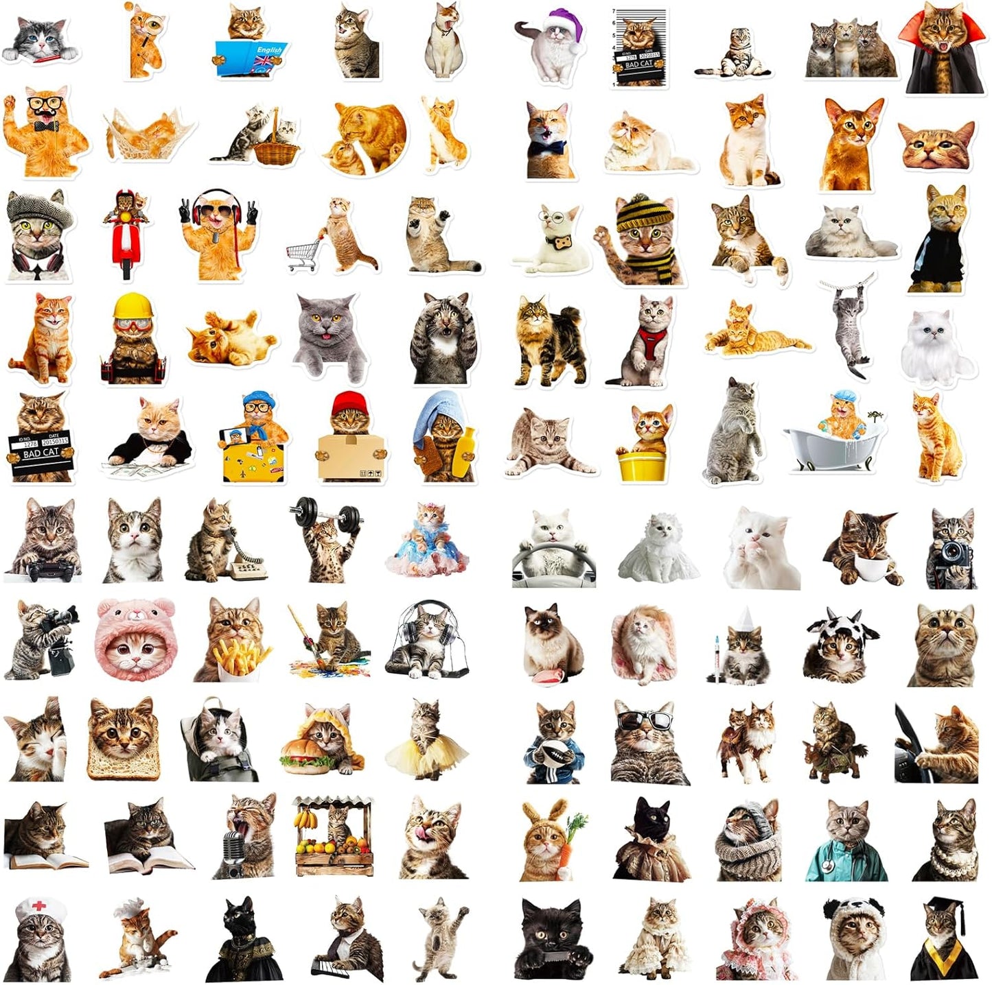 100 PCS Cute Cat Stickers for Kids, Funny Kitten Stickers for Journaling Laptop Scrapbook Water Bottles Guitar Skateboard, Decals for Teens Adults Kids Gift (Cat)