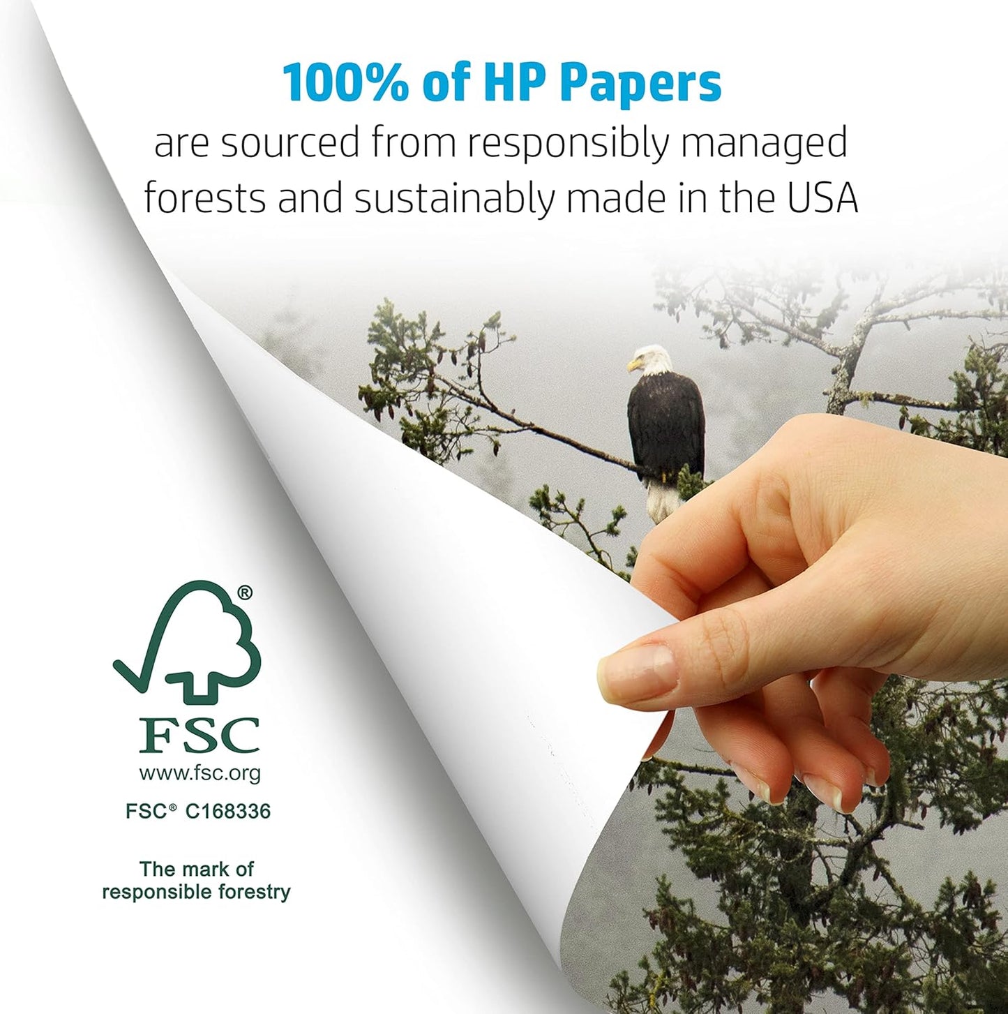 HP Papers Printer Paper 8.5 x 11 Paper BrightWhite 24 lb 60 Case 100 Bright Made in USA - FSC Certified 203000P Pallet 160000 Sheets