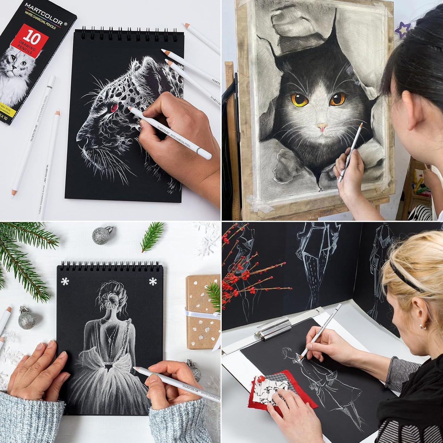 Professional White Charcoal Pencils Set, 10 Pieces Sketch Highlight Charcoal Pencils for Drawing, Sketching, Shading, Blending, White Chalk Pencils for Beginners & Artists