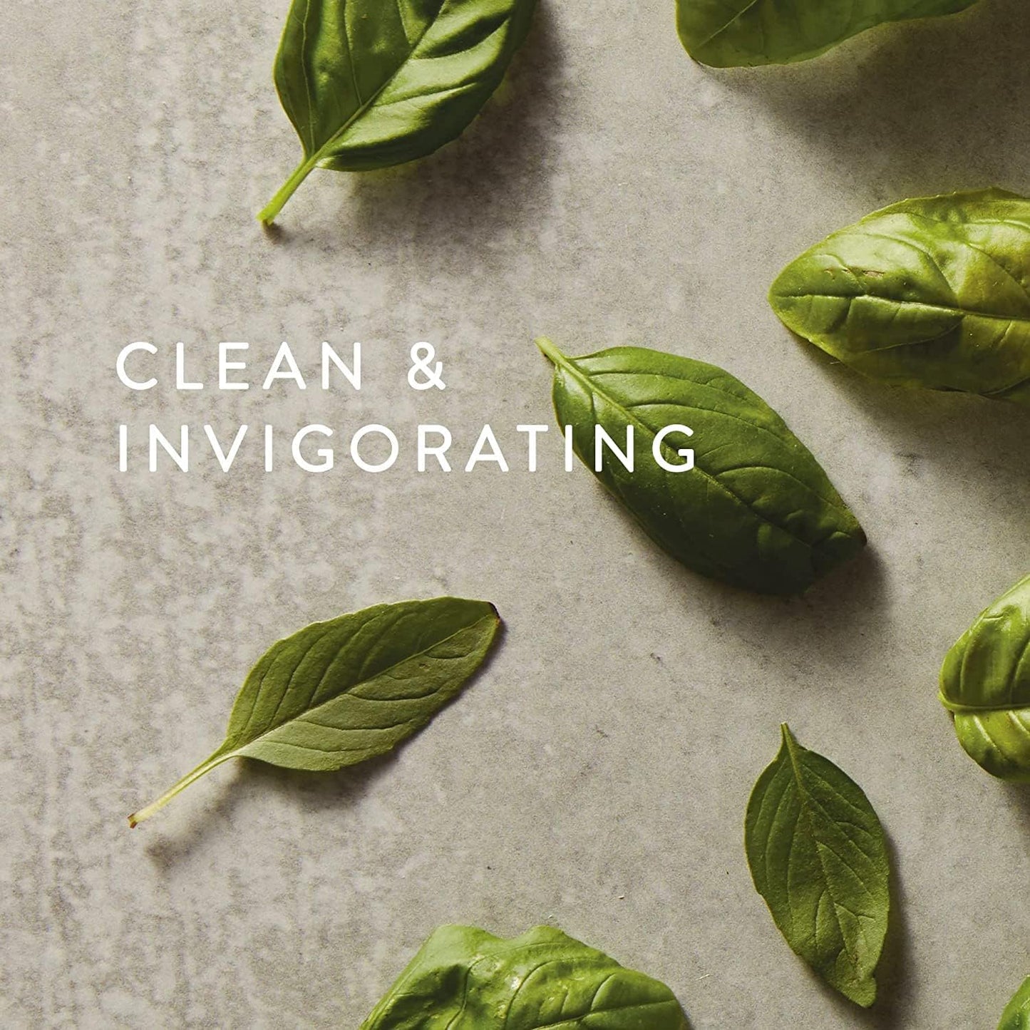 Thymes Countertop Spray - Counter Cleaner Spray - Household Cleaning Supplies (Fresh-Cut Basil, 16.5 fl oz)