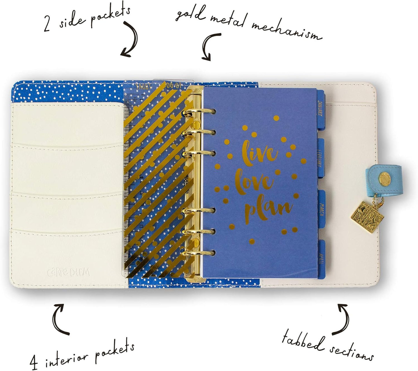 Pukka Pad, Carpe Diem Personal Planner with Weekly, Monthly Undated Inserts, 8 X 7.5 X 1.4 Inches, Feathers