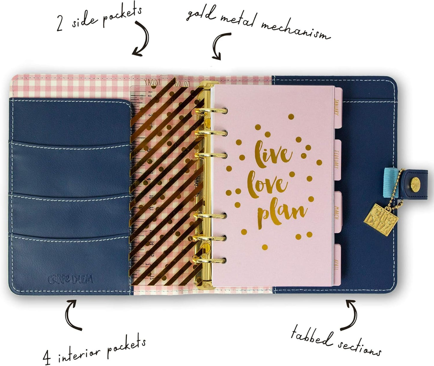 Pukka Pad, Carpe Diem Personal Planner - Soft Cover Binder with Weekly, Monthly Undated Inserts in Tabbed Sections, Interior Pockets and Sticker Sheets - 8 X 7.5 X 1.4 Inches, Disty Floral