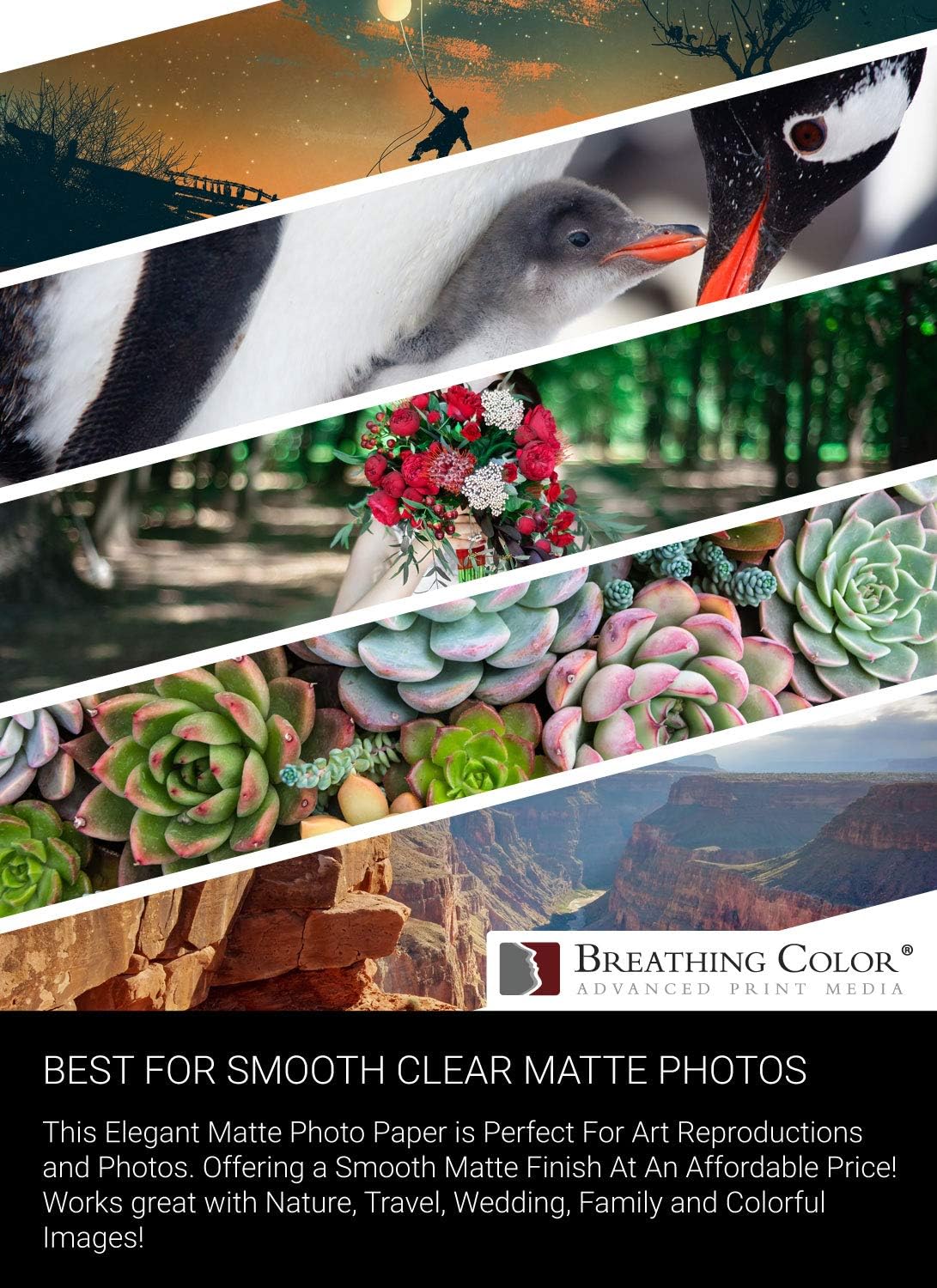 Vibrance Matte Photo Printer Paper 12 mil 230 gsm Matte Finish Premium Photo Paper Roll on 3in Core 36 in x 100 ft Works with Most Inkjet Printer Professional Makes and Models Like Epson Canon HP