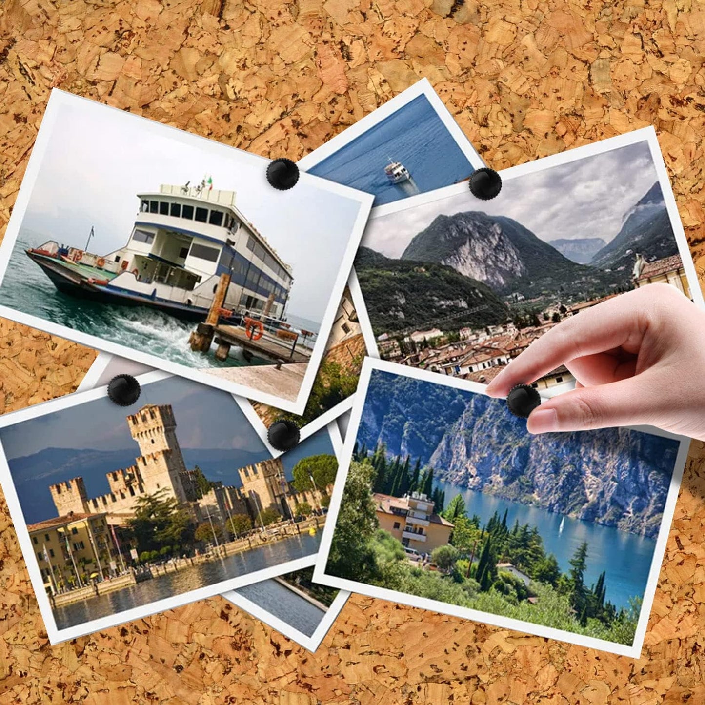 Lunies 100 PCS Black Plastic Push Pins, Thumb Tacks for Wall, Wall Pins for Hanging, Standard Plastic Head and Steel Point Push Pins for Cork Board