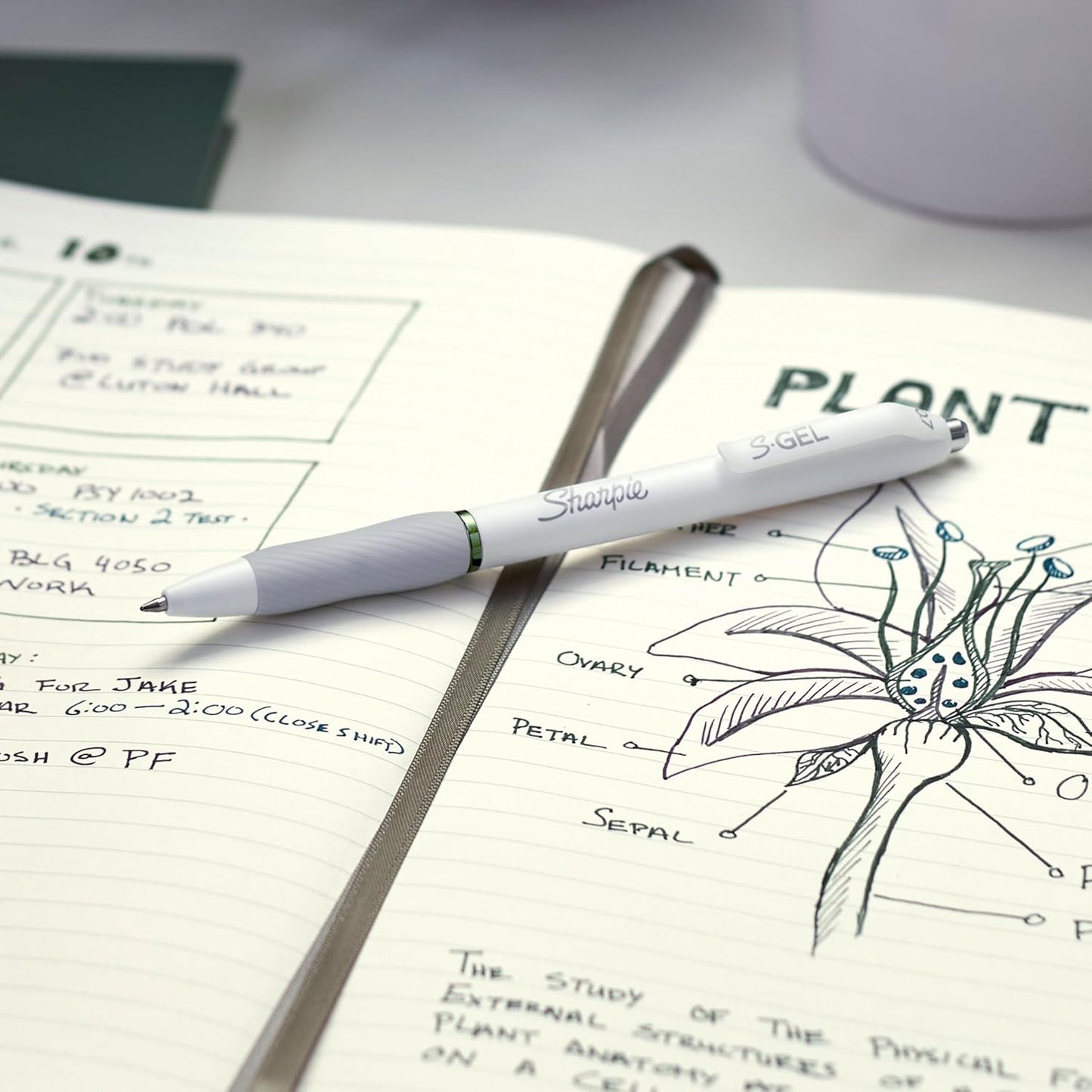 Sharpie S-Gel Pens, Fashion Barrel Gel Pens, Pearl White Body, Medium (0.7mm) Point, Bold Ink Colors, 12 Count