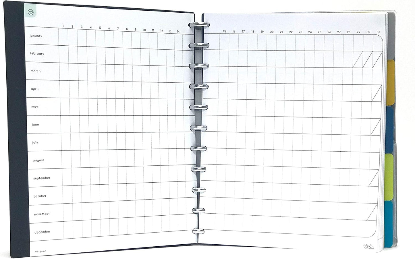 Talia Discbound Notebooks, Planner, Customizable, (yClear w/Silver Discs, Letter (8.5in x 11in))