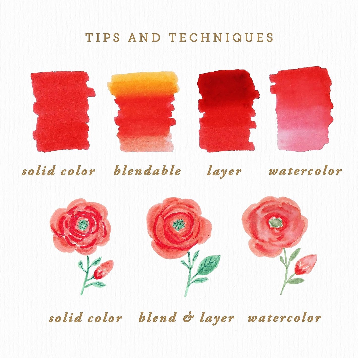 Primrosia Fauna - 60 Dual Tip Watercolor Brush and Fine Tip Pens. Marker Pens for Art Sketching Illustration Calligraphy Permanent Highlighter Bullet Journal Drawing Adult Coloring