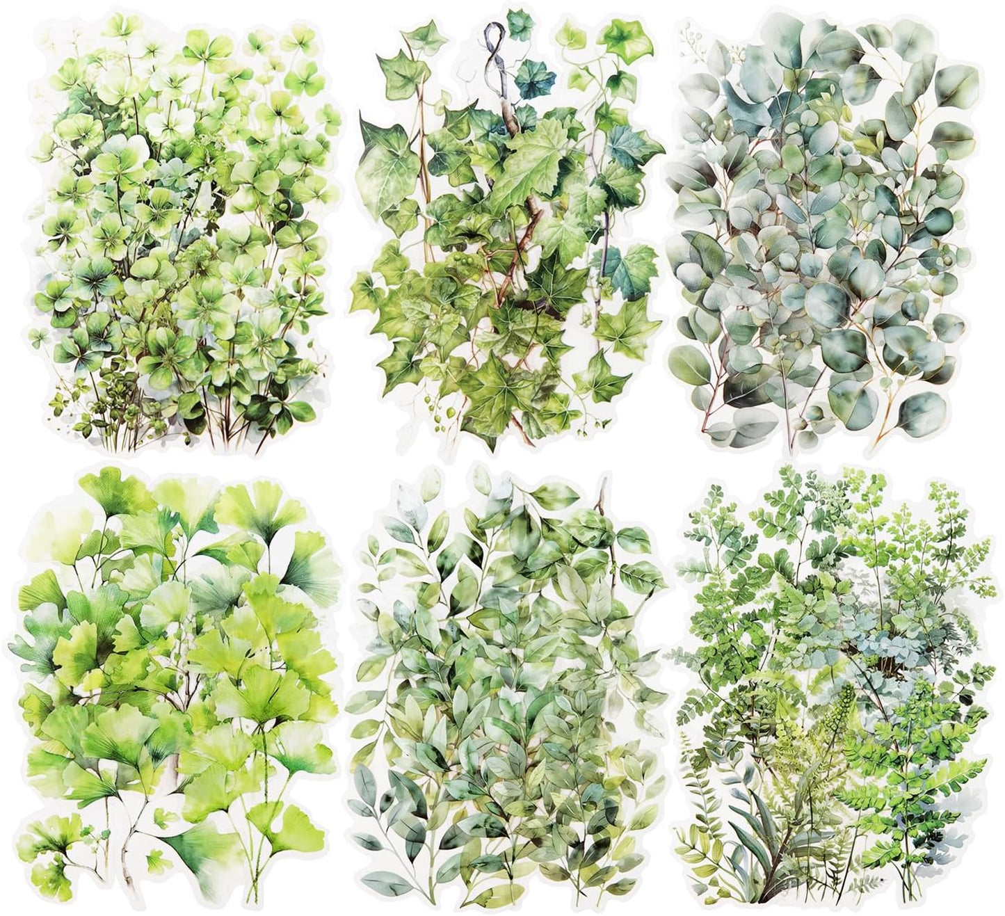 Botanical Leaf PET Stickers Set, 120PCS Transparent Plant Ephemera for Scrapbooking, Journaling, DIY Crafts, and Planner