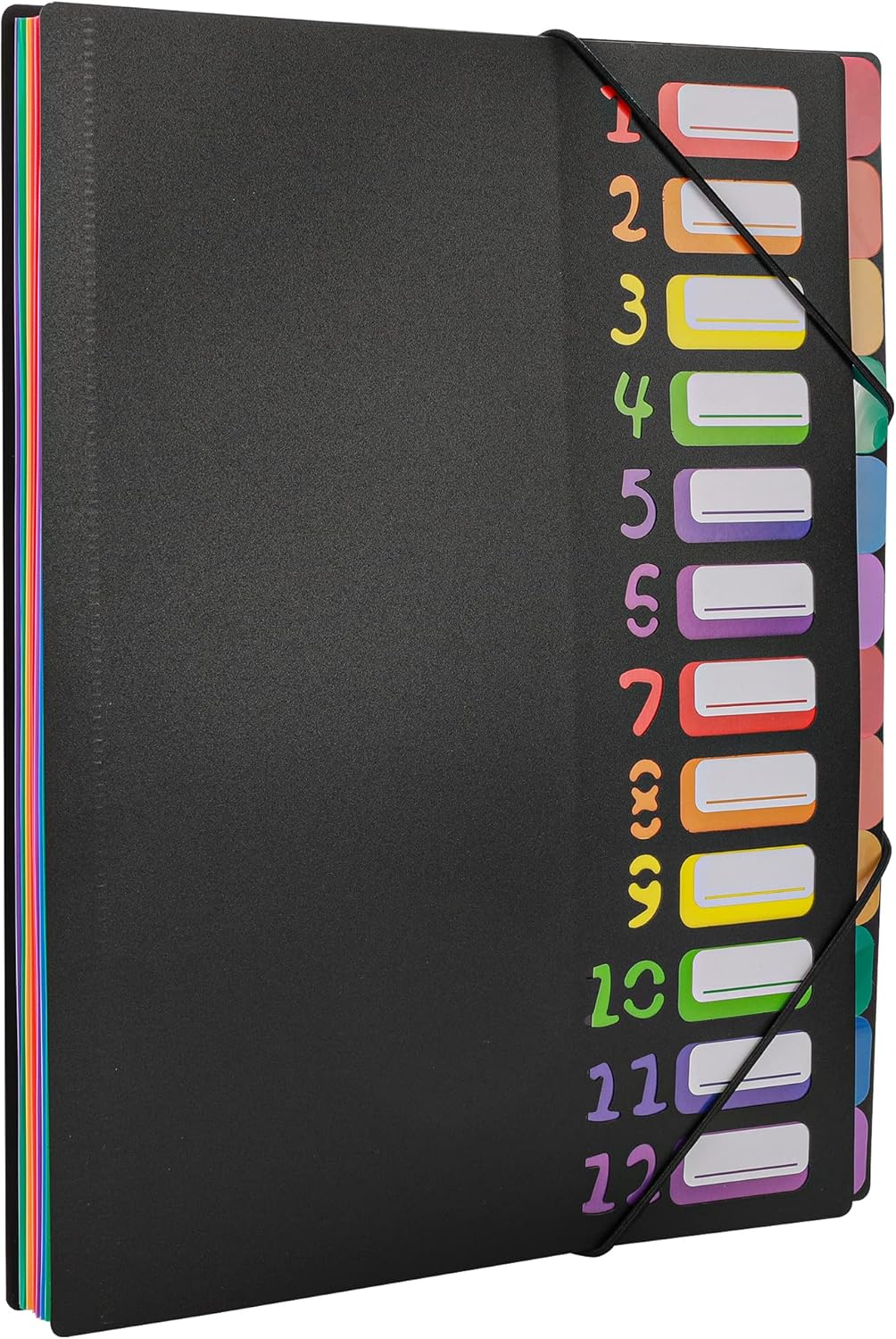 Rainbow Tab Expanding File Folder - 24 Pockets, Durable A4 Letter Size Organizer, Water-Resistant Plastic Dividers, Home/Office/School Document Holder (Black)