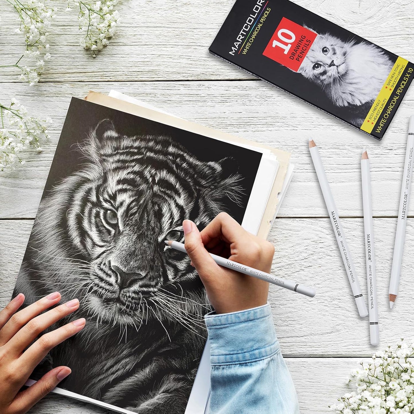 Professional White Charcoal Pencils Set, 10 Pieces Sketch Highlight Charcoal Pencils for Drawing, Sketching, Shading, Blending, White Chalk Pencils for Beginners & Artists