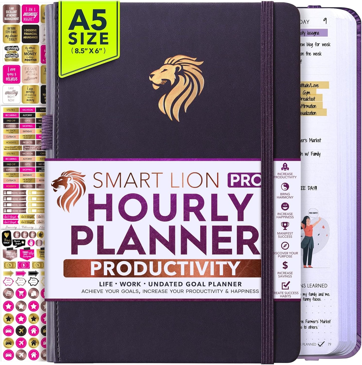 Hourly Planner - Undated Daily, Weekly & Monthly Planner with Budget Section | A 12 Month Journey to Increase Productivity & Happiness | Life Organizer & Gratitude Journal - Vertical Format