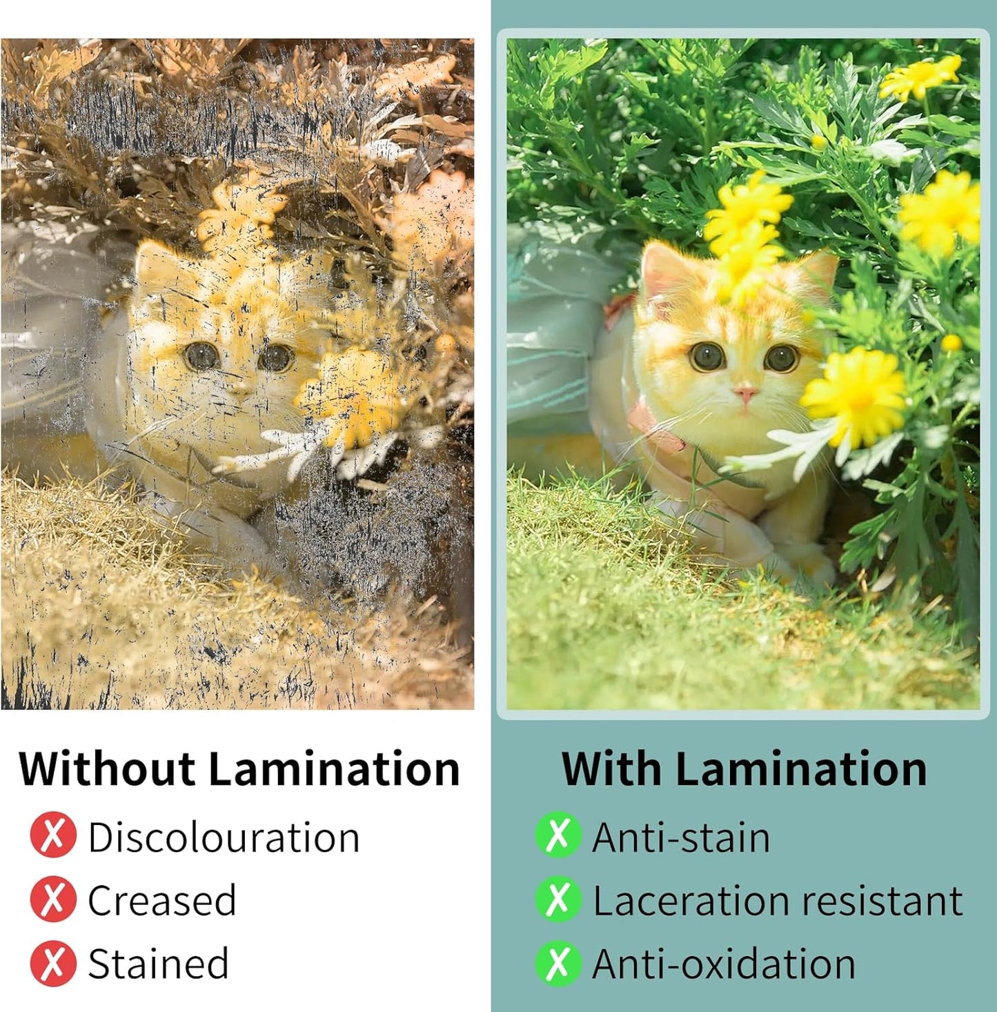 Laminating Sheets - 3Mil 2500 Pack Thermal Laminating Pouches, 9"x11.5" Clear Laminate Sheets for Schedules, Menus, Certificates, Art Drawings, Round Corner