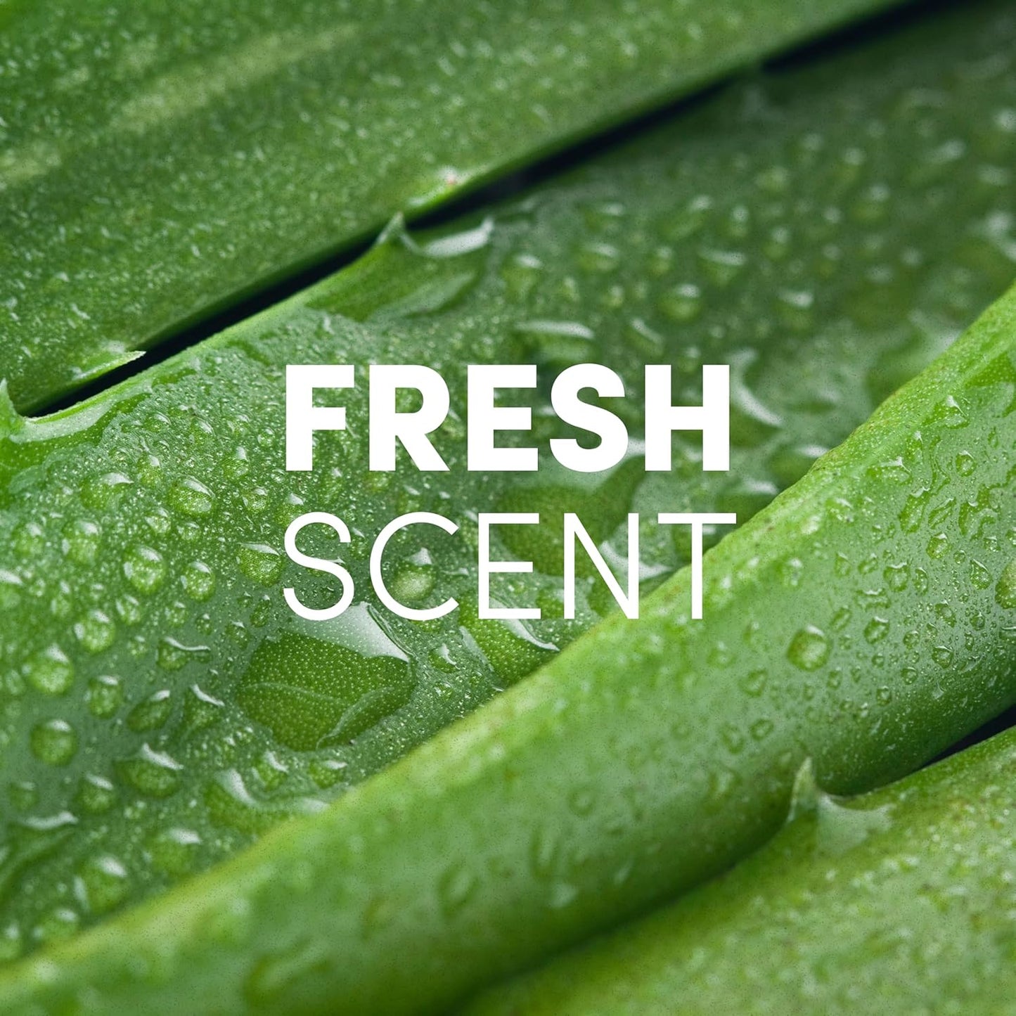 Clean Revolution Liquid Gel Hand Sanitizer, 128 Fl. Oz Refill Supply Container| Eliminates 99.9% of Germs | Gentle & Aloe Enriched | 70% USP Medical Grade Ethanol, Medical Facility Compliant