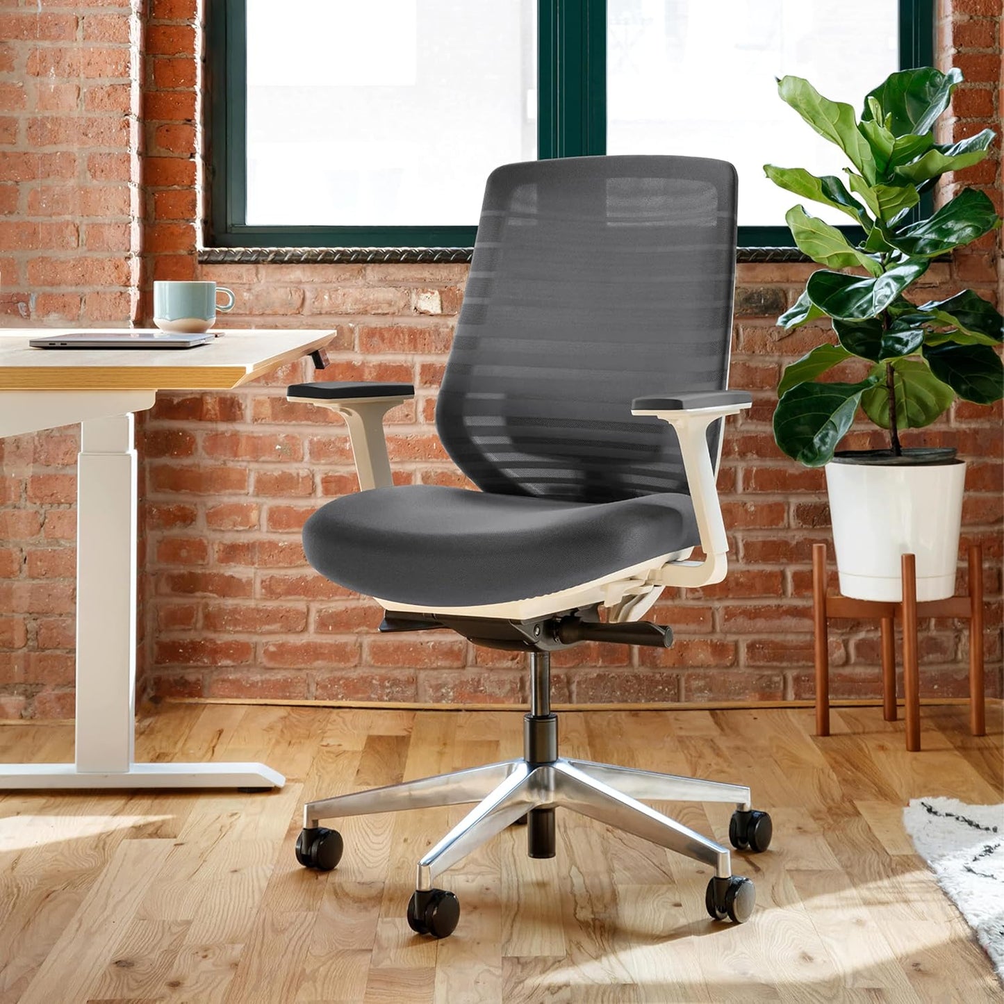 Branch Ergonomic Chair - A Versatile Desk Chair with Adjustable Lumbar Support, Breathable Mesh Backrest, and Smooth Wheels - Experience Optimal Comfort and Support - Graphite - White