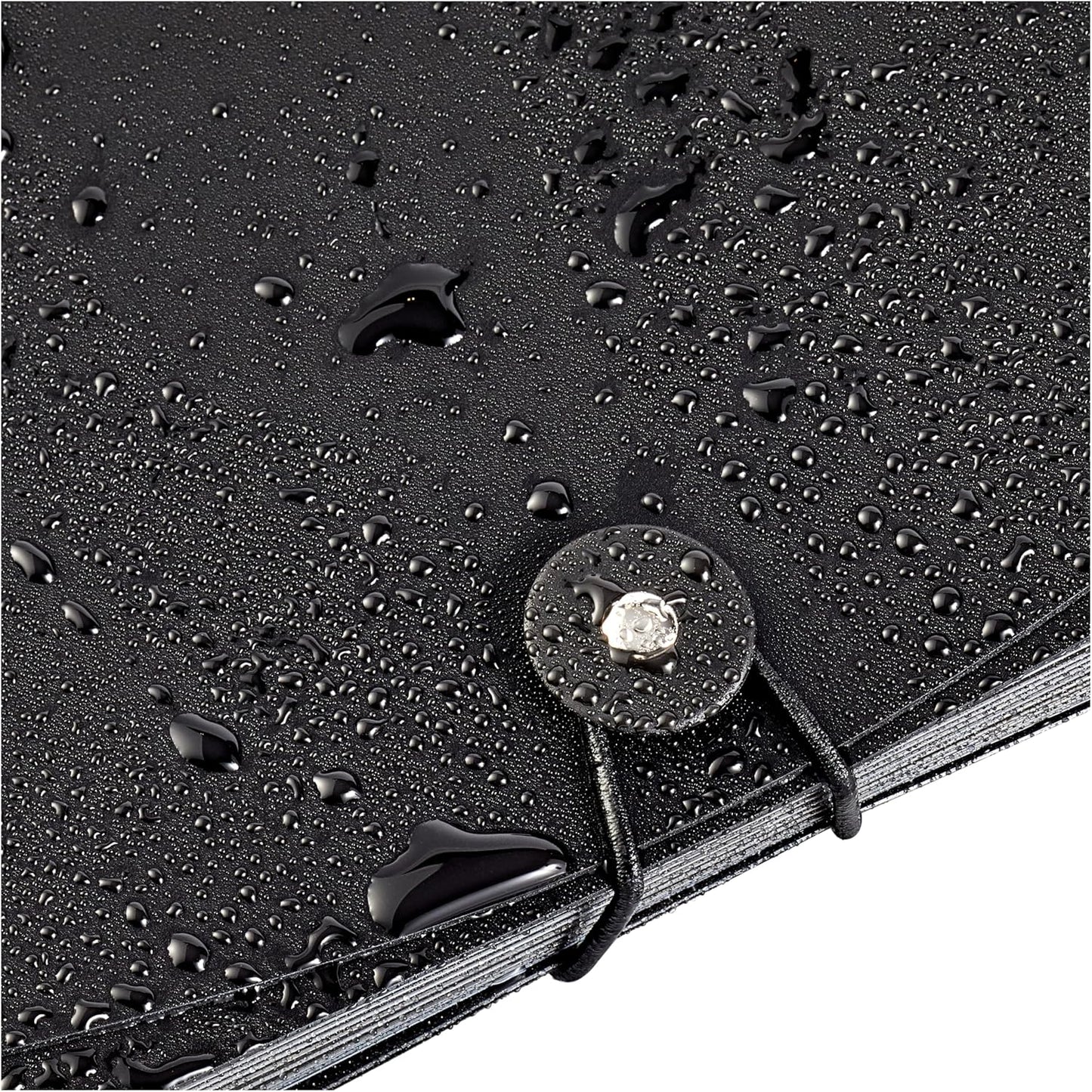 Amazon Basics Expanding Organizer File Folder, Letter Size - Black & Gray, 2-Pack